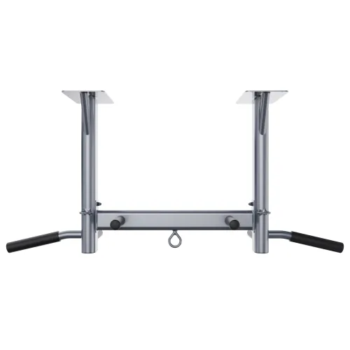 Турник потолочный DFC SPORTSTECH KS400